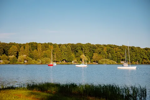 Des voiliers au mouillage sur le bassin, la forêt en arrière-plan